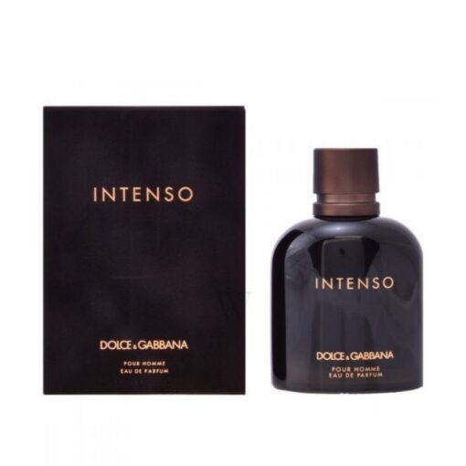 Intenso perfume by Dolce and Gabbana for men eau de parfum 125 ml