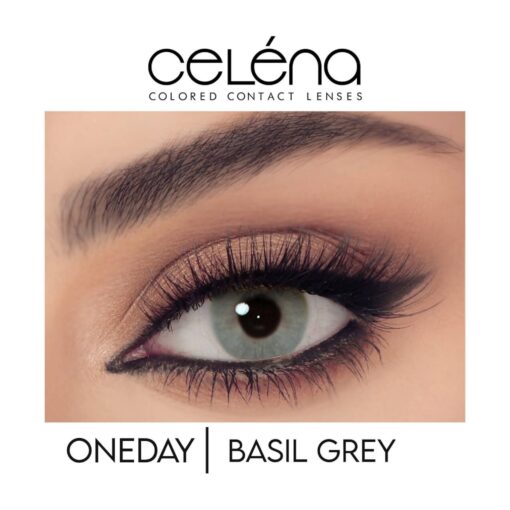 Celéna daily contact lenses BASIL GRAY