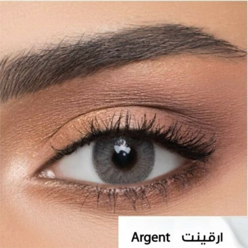 Afle daily lenses ARGENT