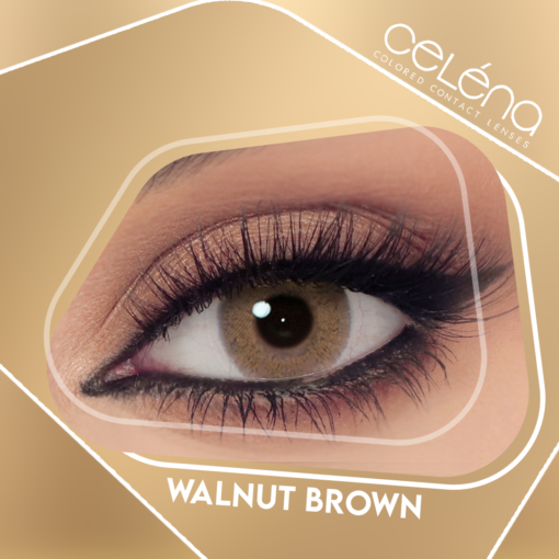 Celena Shaded Walnut Brown Contact Lenses